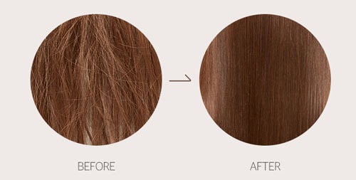 Missha Damaged Hair Therapy Essence (100ml) - Image 2